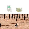 Glass Beads GLAA-U003-01F-4