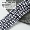 Eco-Friendly Dyed Glass Pearl Round Bead Strands X-HY-A002-8mm-RB028-2