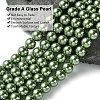 Eco-Friendly  Dyed Glass Pearl Round Bead Strands HY-A002-8mm-RB025-3