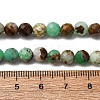 Natural Serpentine Beads Strands LS-G-RM250101-D8-6mm-3