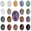 Globleland 19Pcs 19 Styles Oval Natural Gemstone Worry Stone G-GL0001-08-1