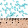 Baking Paint Glass Seed Beads SEED-A033-04P-4