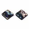 Natural Abalone Shell/Paua Shell Beads SSHEL-T014-13B-2