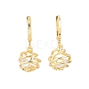 Hollow Oval Brass Clear Cubic Zirconia Leverback Earrings EJEW-H182-04B-G-4