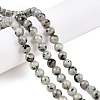 Natural Sesame Jasper/Kiwi Jasper Bead Strands G-R345-8mm-36-1