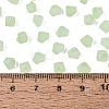 FGB Frosted Transparent Glass Seed Beads SEED-N013-03A-08-4