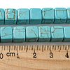 Dyed Synthetic Turquoise Beads Strands G-G075-B02-02-5