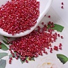 MIYUKI Delica Beads SEED-JP0008-DB0162-1