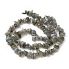 Natural Labradorite Beads Strands G-I225-15A-4