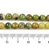 Natural Serpentine Beads Strands G-G829-06-4mm-4