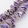 Natural Shell Bead Strands BSHE-P010-01-1