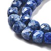 Dyed Natural Sesame Jasper Beads Strands G-C179-B02-01-4