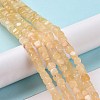 Natural Quartz Beads Strands G-C023-09C-2