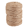 100M Jute Twisted Cord OCOR-WH0078-470A-1