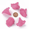 Transparent Acrylic Beads BSF796-C16-5