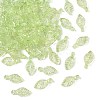 Transparent Acrylic Charms TACR-F009-11B-1