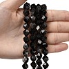 Natural Silver Obsidian Beads Strands G-Z119-A11-03-2