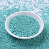MIYUKI Round Rocailles Beads SEED-G007-RR0485-2