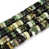 Natural Serpentine Beads Strands G-N367-03A-11-2