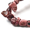 Dyed Natural Trochus Shell Beads Strands BSHE-Z006-01D-3