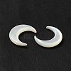 Natural White Shell Connector Charms BSHE-E026-04-4