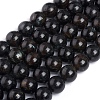 Natural Labradorite Beads Strands G-L505-07-10mm-1