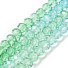 Transparent Painted Glass Beads Strands LS-DGLA-A034-T6mm-A16-2