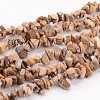 Natural Picture Jasper Chips Beads Strands X-F002-1
