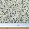 MIYUKI Round Rocailles Beads X-SEED-G007-RR0491-4