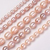 Natural Cultured Freshwater Pearl Beads Strands PEAR-L021-20-01A-1