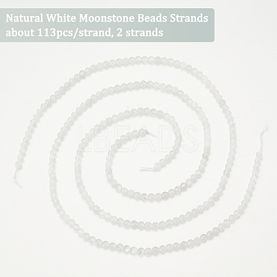 2 Strands Natural White Moonstone Beads Strands G-OC0004-42-1