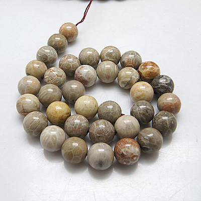 Natural Fossil Coral Beads Strands X-G-G212-8mm-31-1