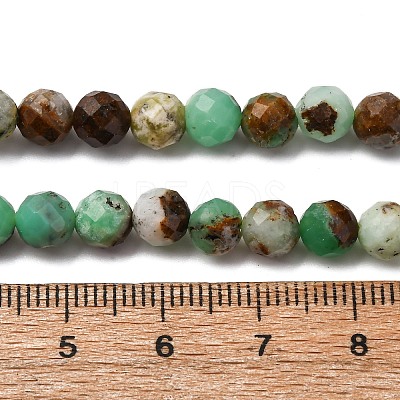 Natural Serpentine Beads Strands LS-G-RM250101-D8-6mm-1