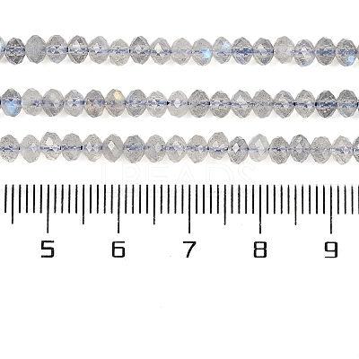 Natural Labradorite Beads Strands G-K366-A01-01-1