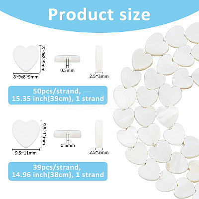 2 Strands 2 Styles Natural Freshwater Shell Beads Strands SHEL-FH0001-26-1