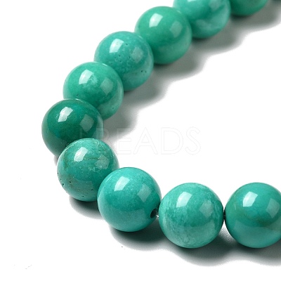Dyed & Heated Natural Magnesite Beads Strands G-G924-01A-01-1