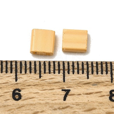 2-Hole Baking Paint Glass Seed Beads SEED-S023-17C-39-1