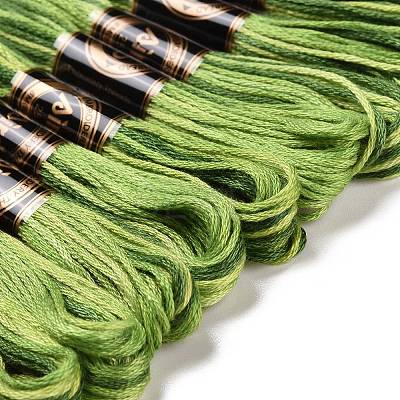 10 Skeins 6-Ply Polyester Embroidery Floss OCOR-K006-A02-1