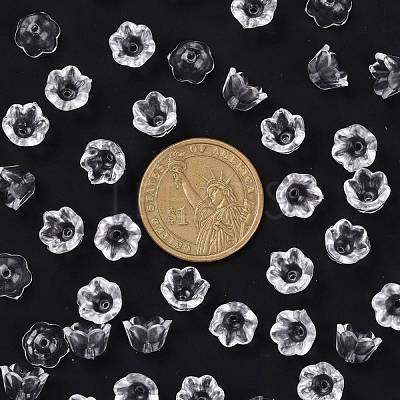 Transparent Acrylic Beads X-PL548-1-1