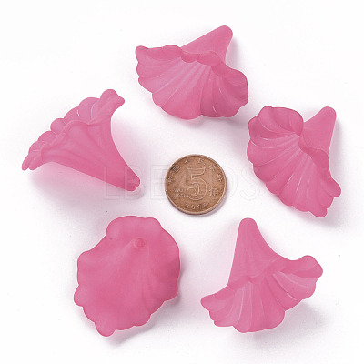 Transparent Acrylic Beads BSF796-C16-1