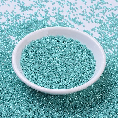 MIYUKI Round Rocailles Beads SEED-G007-RR0485-1