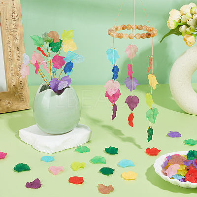240Pcs 12 Colors Autumn Theme Transparent Frosted Acrylic Pendants MACR-PH0002-14-1