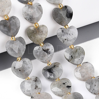 Natural Labradorite Beads Strands LS-G-P592-B14-01-1