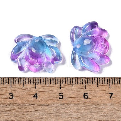 Baking Paint Glass Beads X-GLAA-S202-13A-1
