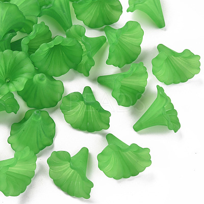 Transparent Acrylic Beads BSF796-C07-1