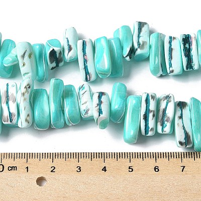 Dyed Natural Trochus Shell Beads Strands SSHEL-C013-09M-1