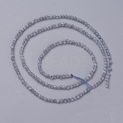 Natural Labradorite Beads Strands G-F596-43-3mm-1
