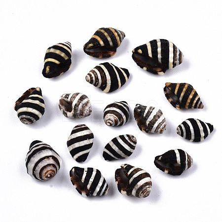 Natural Spiral Shell Beads SSHEL-T014-06-1
