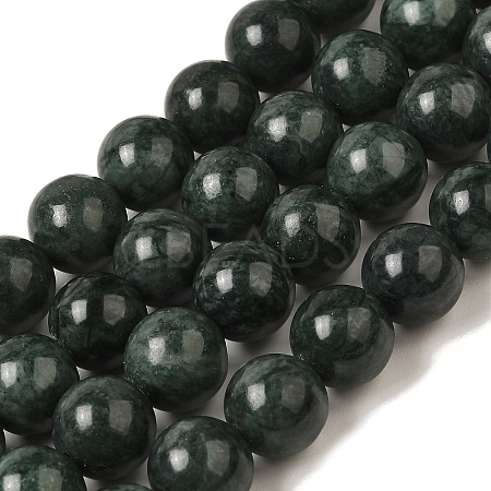 Natural Black Jade Beads Strands G-H067-A03-10MM-1