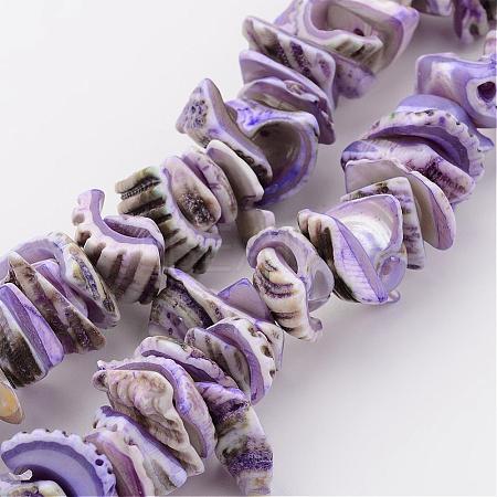 Natural Shell Bead Strands BSHE-P010-01-1